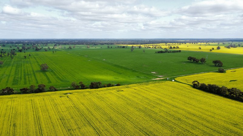 Photo - Address Available On Request , Frances SA 5262 - Image 25