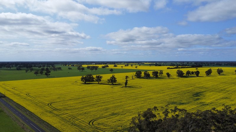 Photo - Address Available On Request , Frances SA 5262 - Image 26