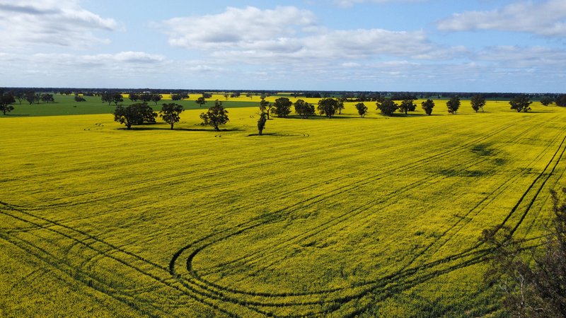 Photo - Address Available On Request , Frances SA 5262 - Image 27