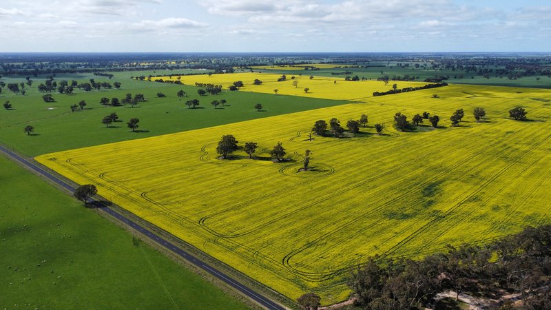 Photo - Address Available On Request , Frances SA 5262 - Image 28