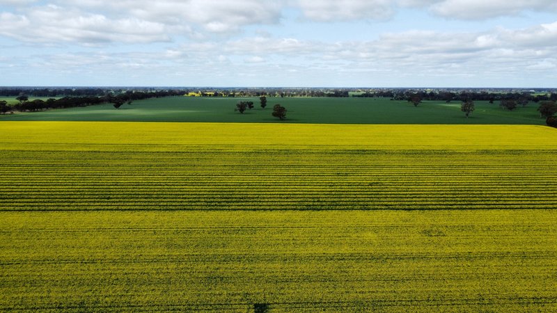 Photo - Address Available On Request , Frances SA 5262 - Image 32