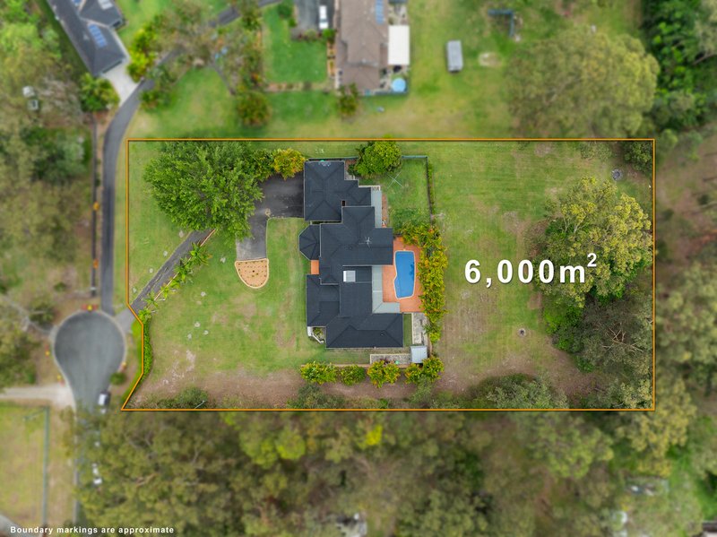 Photo - Alexandra Hills QLD 4161 - Image 3