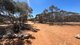 Photo - Allot 2 Schache Road, Younghusband SA 5238 - Image 3