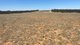 Photo - Allot 2 Schache Road, Younghusband SA 5238 - Image 4