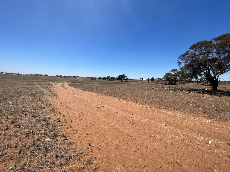 Photo - Allot 2 Schache Road, Younghusband SA 5238 - Image 5