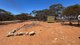 Photo - Allot 2 Schache Road, Younghusband SA 5238 - Image 16