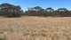 Photo - Allot 2 Schache Road, Younghusband SA 5238 - Image 19