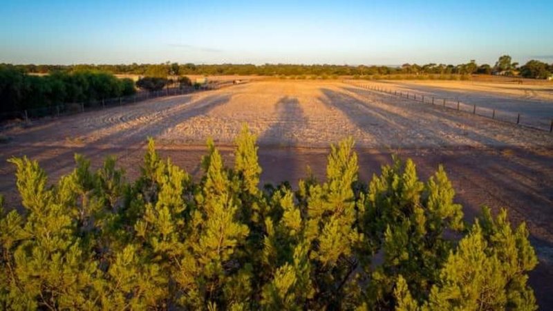 Photo - Allotment 71 Clancy Road, Gawler Belt SA 5118 - Image 2