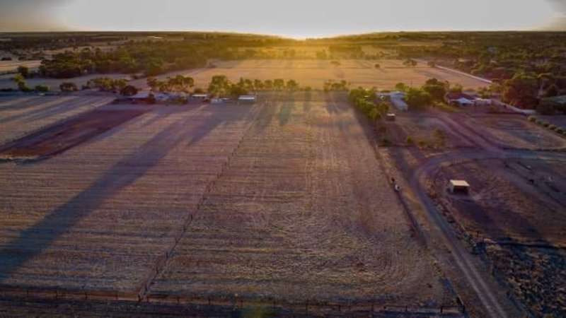 Photo - Allotment 71 Clancy Road, Gawler Belt SA 5118 - Image 3