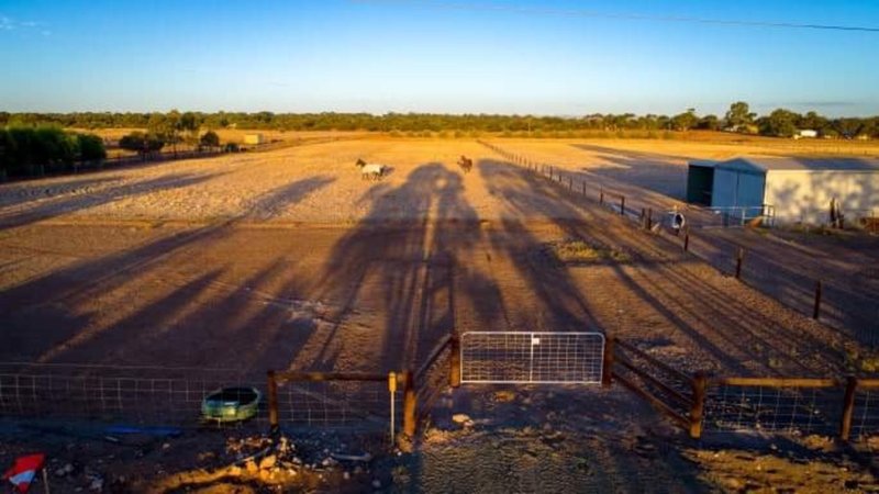 Photo - Allotment 71 Clancy Road, Gawler Belt SA 5118 - Image 5