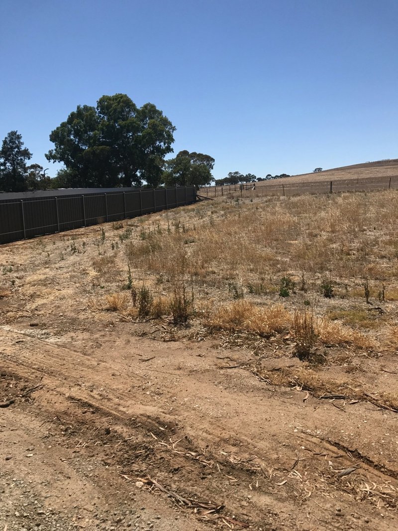 Photo - Allotment Government Road, Rhynie SA 5412 - Image 2