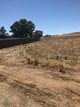 Photo - Allotment Government Road, Rhynie SA 5412 - Image 2