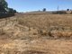 Photo - Allotment Government Road, Rhynie SA 5412 - Image 3