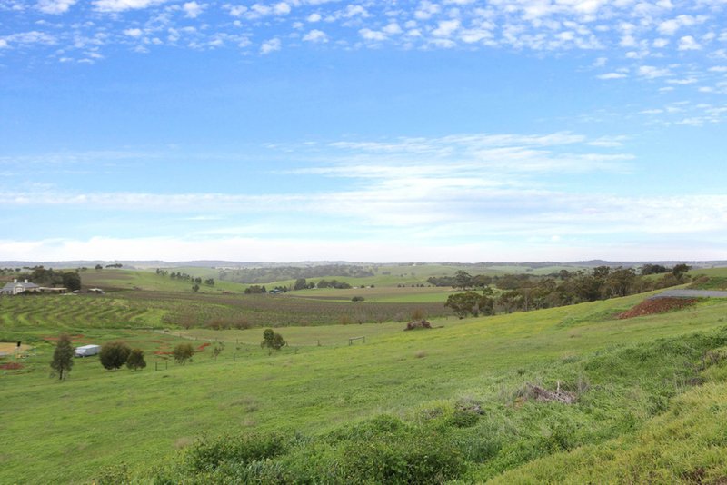 Photo - Angaston Moculta Road Via Penrice , Angaston SA 5353 - Image 18