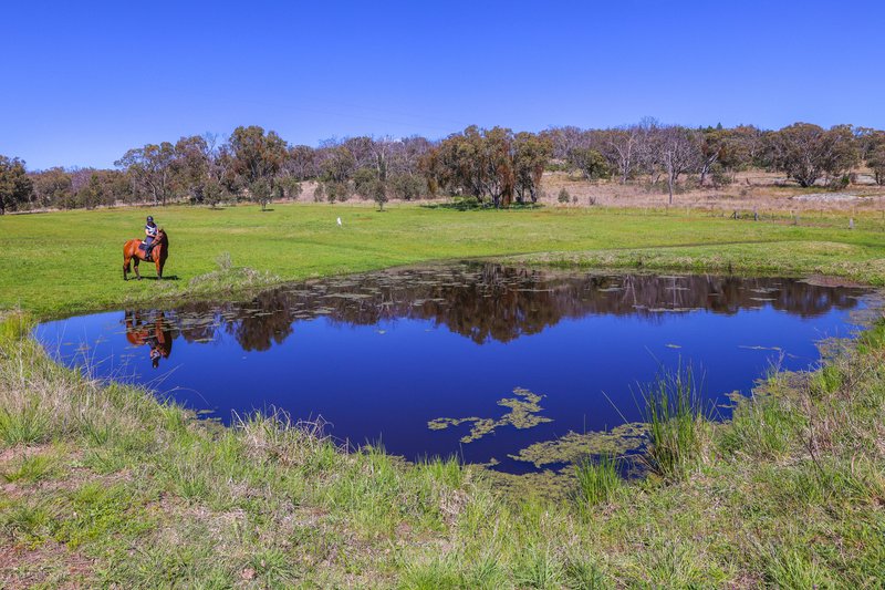 Photo - 'Applegrove' 1153 New England Gully Road, Tamworth NSW 2340 - Image 16