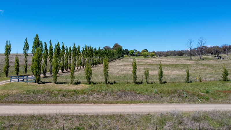 Photo - 'Applegrove' 1153 New England Gully Road, Tamworth NSW 2340 - Image 20