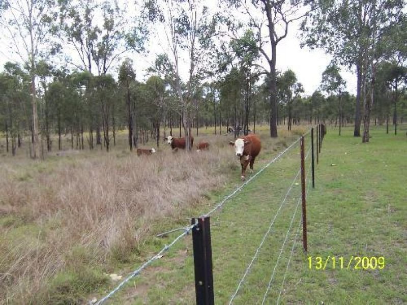 Photo - Aratula QLD 4309 - Image 12