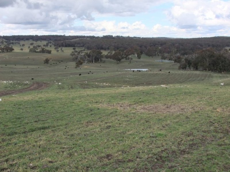 Photo - Arkell NSW 2795 - Image 15