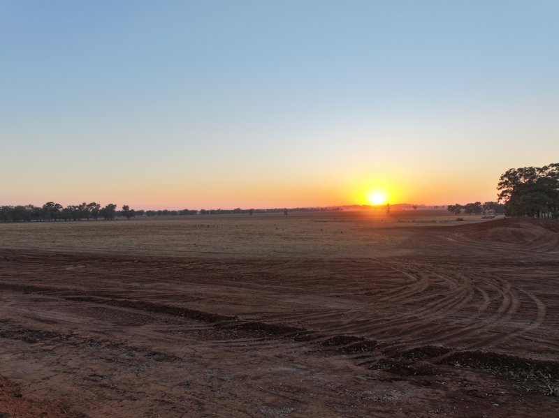 Austral Eden Estate Campbells Lane, Coolamon NSW 2701