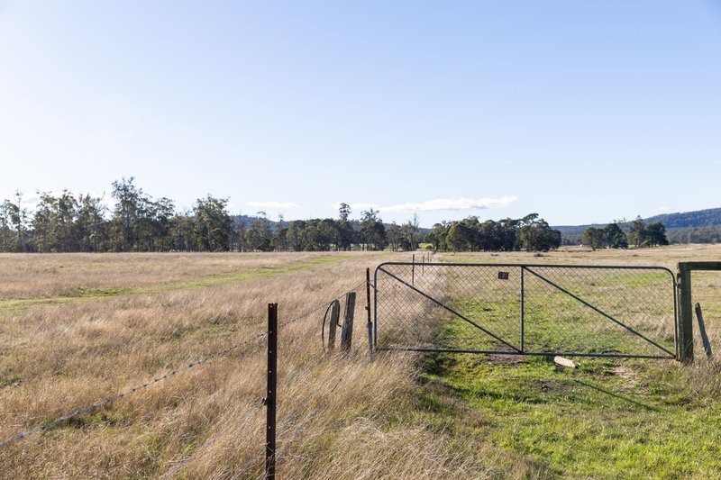 Photo - Avenue Road, Parkham TAS 7304 - Image 4