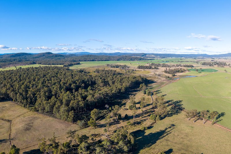 Photo - Avenue Road, Parkham TAS 7304 - Image 11