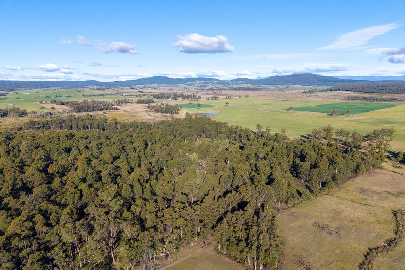 Photo - Avenue Road, Parkham TAS 7304 - Image 12