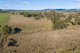 Photo - Avenue Road, Parkham TAS 7304 - Image 17