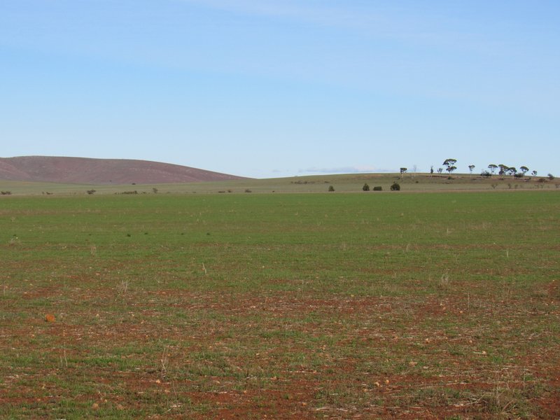 Photo - "Averies" Chapman Road, Coomooroo SA 5431 - Image 3