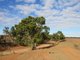 Photo - "Averies" Chapman Road, Coomooroo SA 5431 - Image 5