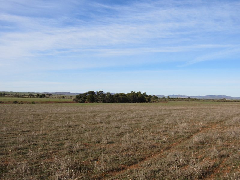 Photo - "Averies" Chapman Road, Coomooroo SA 5431 - Image 9