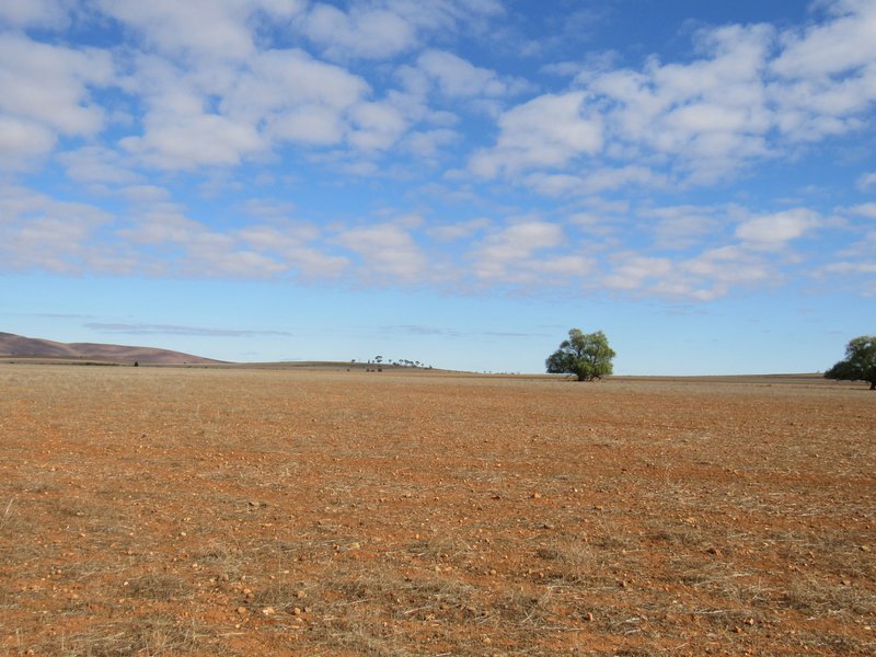 Photo - "Averies" Chapman Road, Coomooroo SA 5431 - Image 13