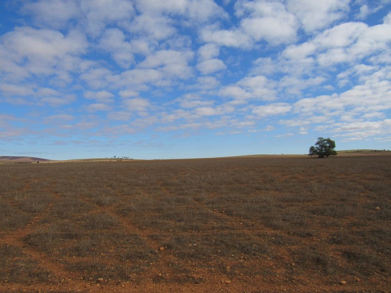 Photo - "Averies" Chapman Road, Coomooroo SA 5431 - Image 16