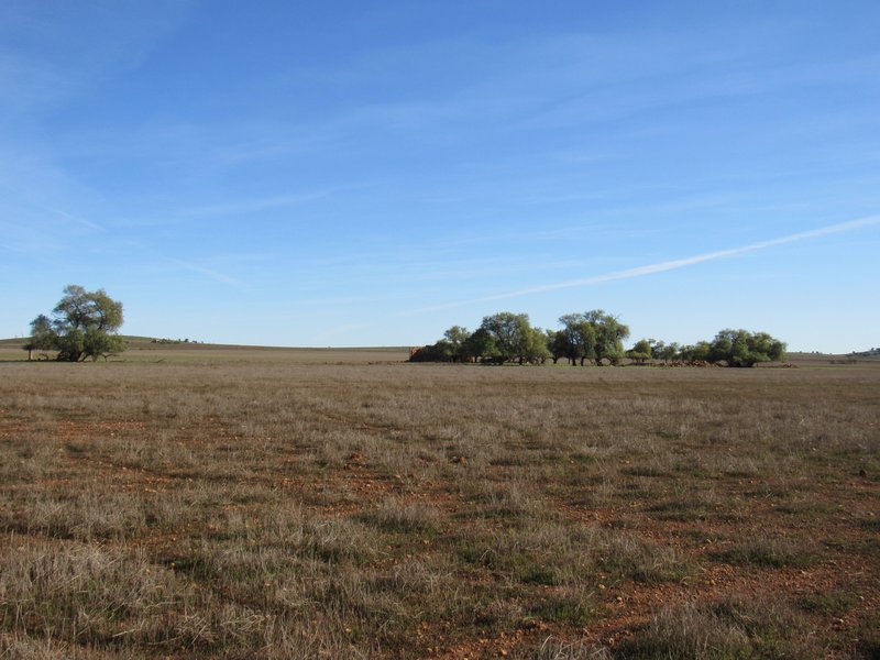 Photo - "Averies" Chapman Road, Coomooroo SA 5431 - Image 17