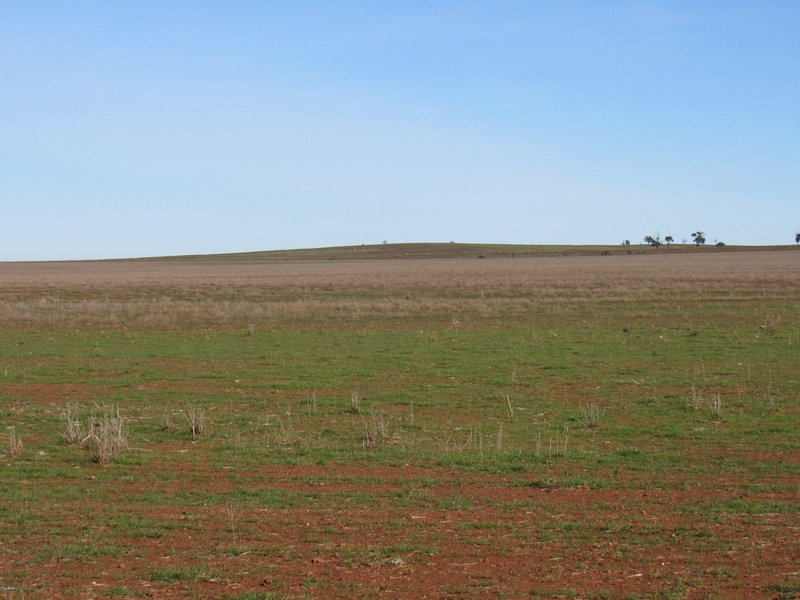 Photo - "Averies" Chapman Road, Coomooroo SA 5431 - Image 18