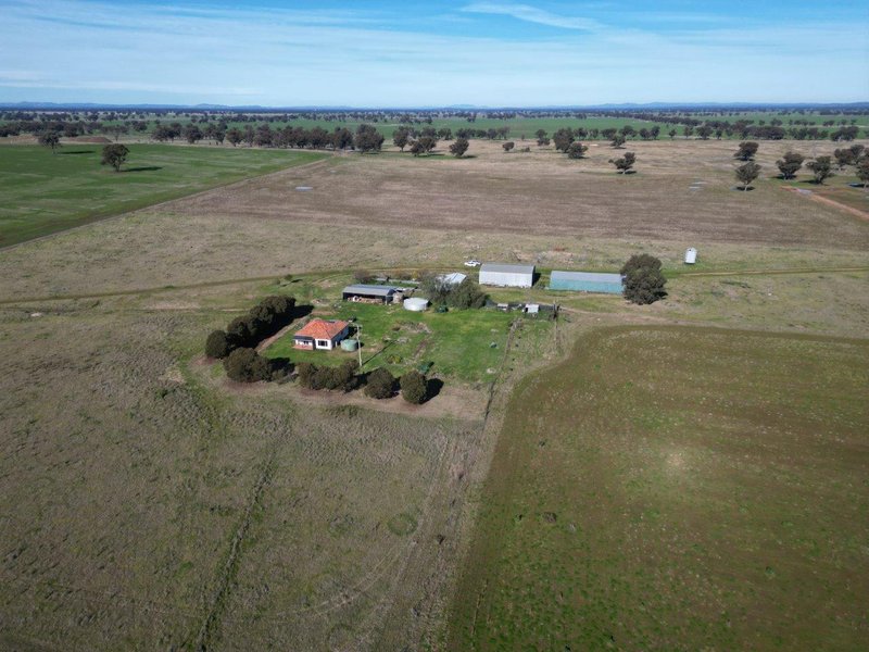 Photo - 'Awana', 2655 Tubbul Road, Young NSW 2594 - Image 3