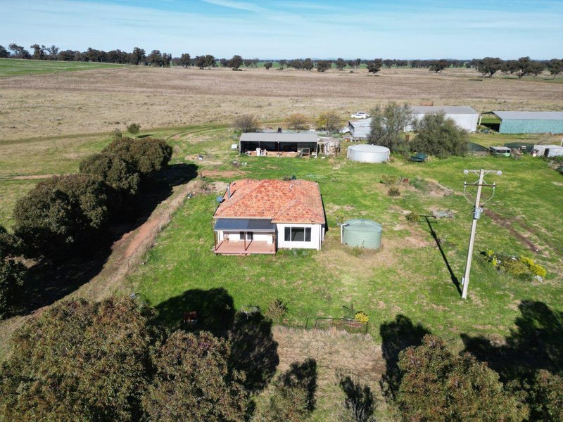 Photo - 'Awana', 2655 Tubbul Road, Young NSW 2594 - Image 7