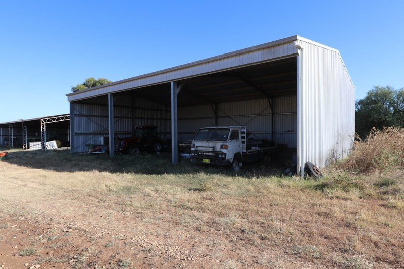 Photo - 'Awana', 2655 Tubbul Road, Young NSW 2594 - Image 13