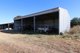 Photo - 'Awana', 2655 Tubbul Road, Young NSW 2594 - Image 13