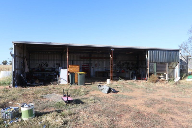 Photo - 'Awana', 2655 Tubbul Road, Young NSW 2594 - Image 16