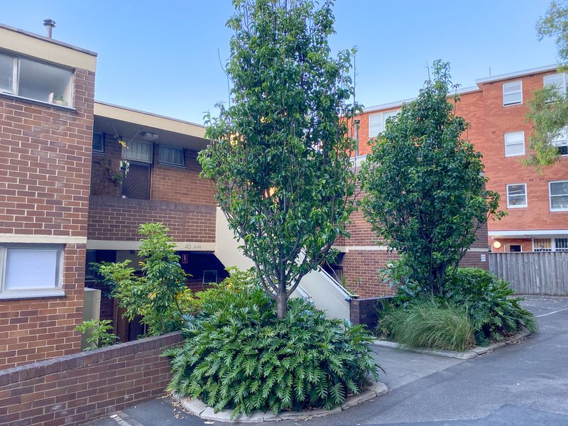 Photo - B/40 Stephen Street, Paddington NSW 2021 - Image 4