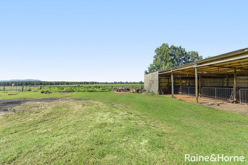 Photo - B585B Princes Highway, Jaspers Brush NSW 2535 - Image 11