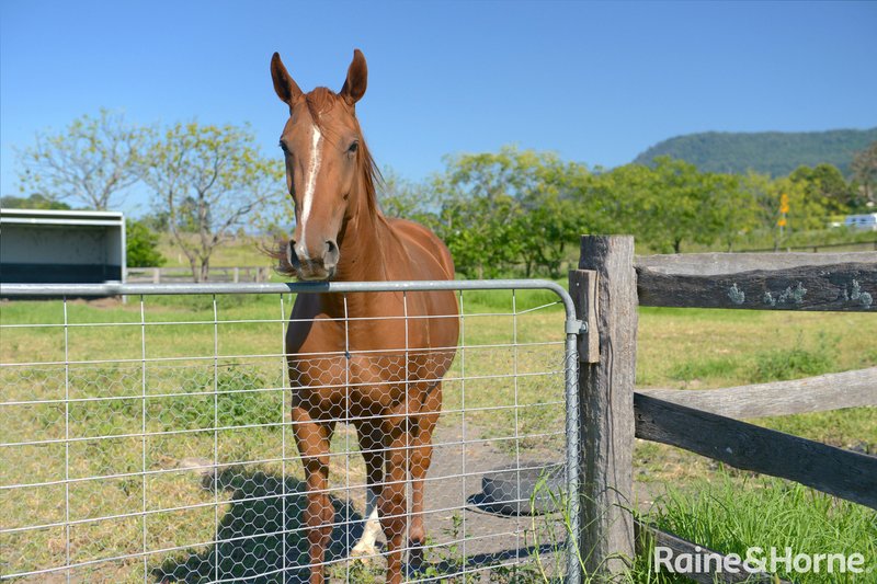 Photo - B585B Princes Highway, Jaspers Brush NSW 2535 - Image 13