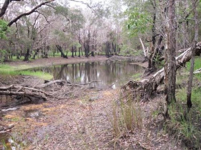 Photo - Baffle Creek QLD 4674 - Image 8