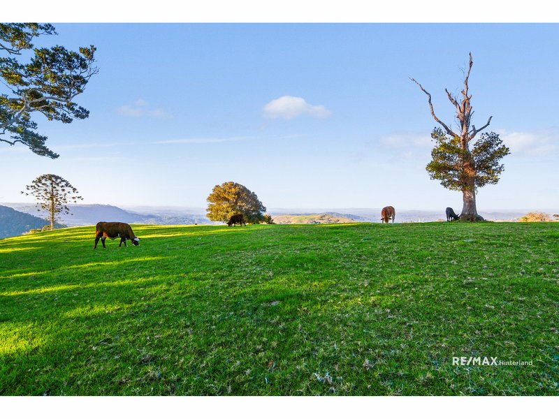 Bald Knob QLD 4552