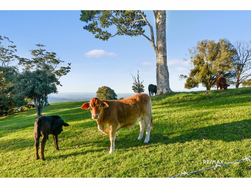 Photo - Bald Knob QLD 4552 - Image 6