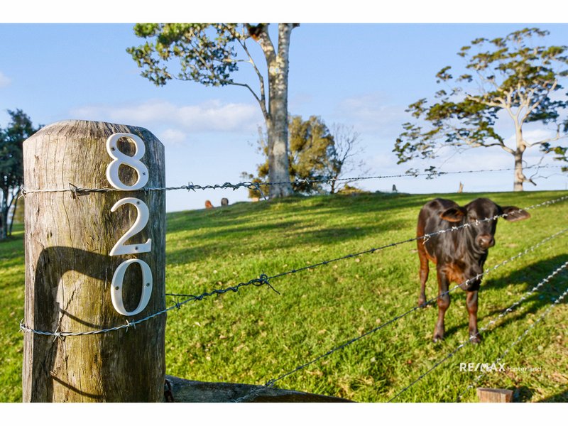 Photo - Bald Knob QLD 4552 - Image 7