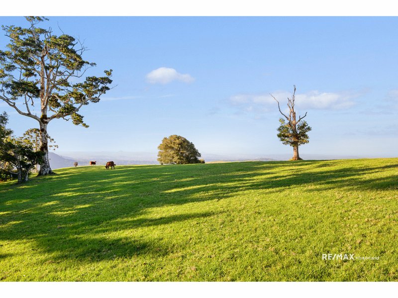 Photo - Bald Knob QLD 4552 - Image 13