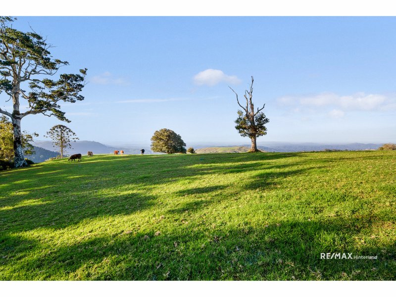 Photo - Bald Knob QLD 4552 - Image 17