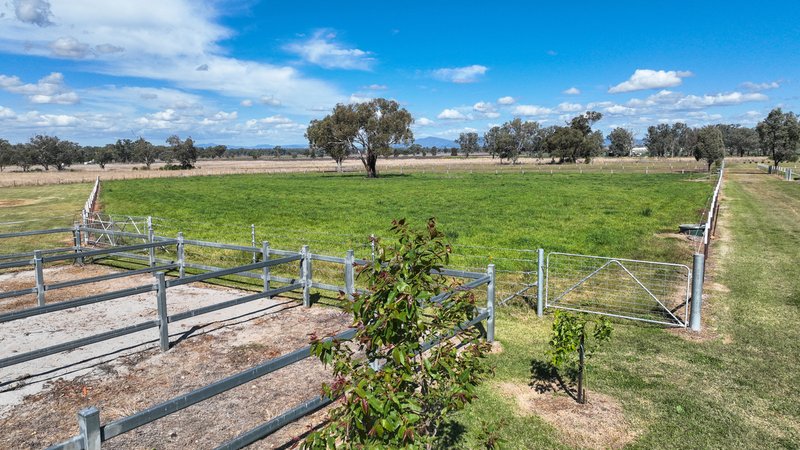 Photo - 'Balmoral Park' Werris Creek Road, Tamworth NSW 2340 - Image 26