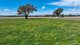 Photo - 'Balmoral Park' Werris Creek Road, Tamworth NSW 2340 - Image 27